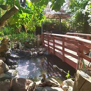 Lotus Turtle Garden , אילת ישראל